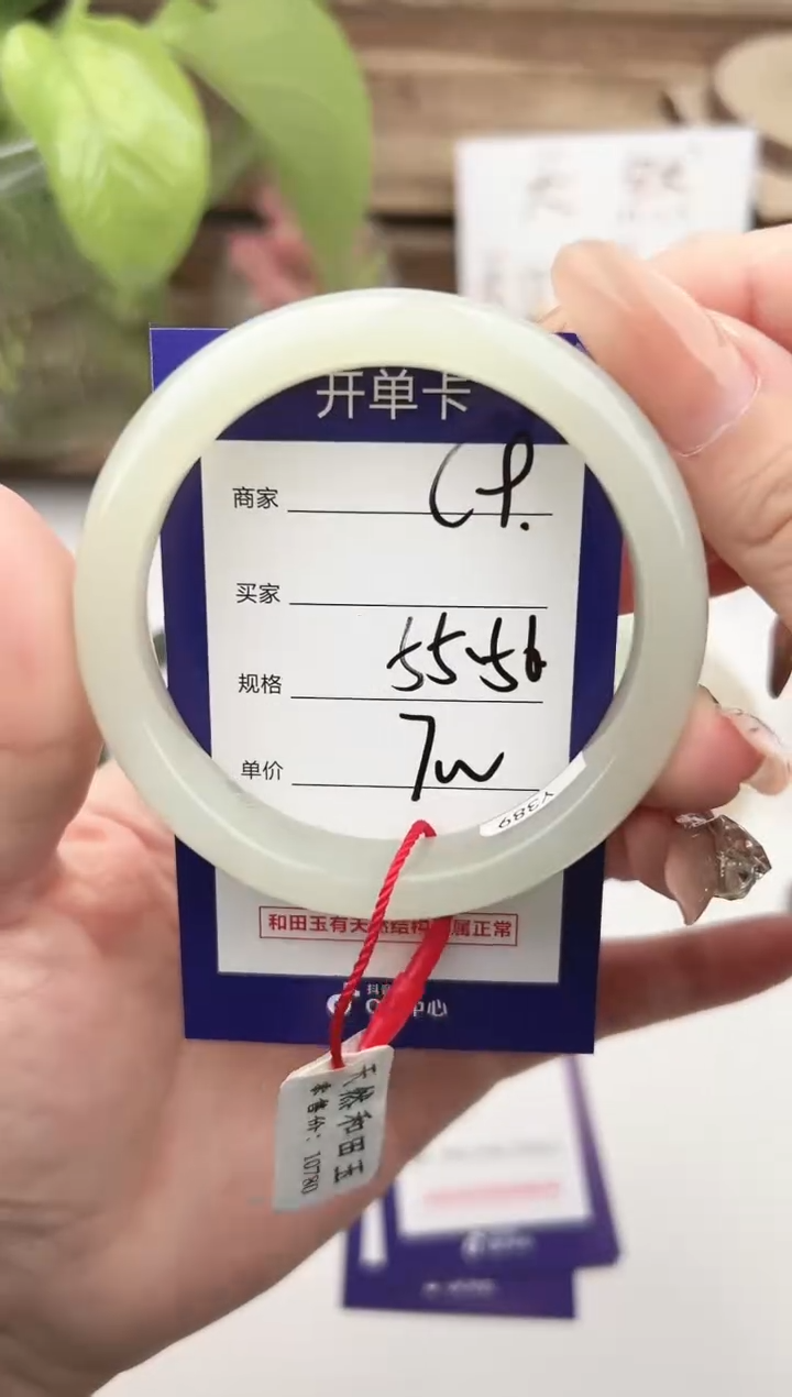 未镶嵌手镯和田玉微色差C9