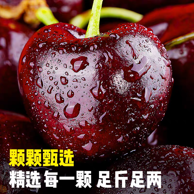 【桑提娜】海运智利当季新鲜车厘子 2JD2/5斤内附果径卡 顺丰/JD包邮阿雷科智利共和国