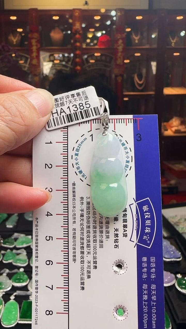 【闪购商品】翡翠颈饰18K金镶嵌HA1385绿豆豆