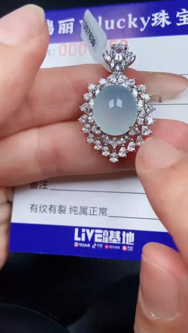 翡翠银S925镶嵌颈饰9859