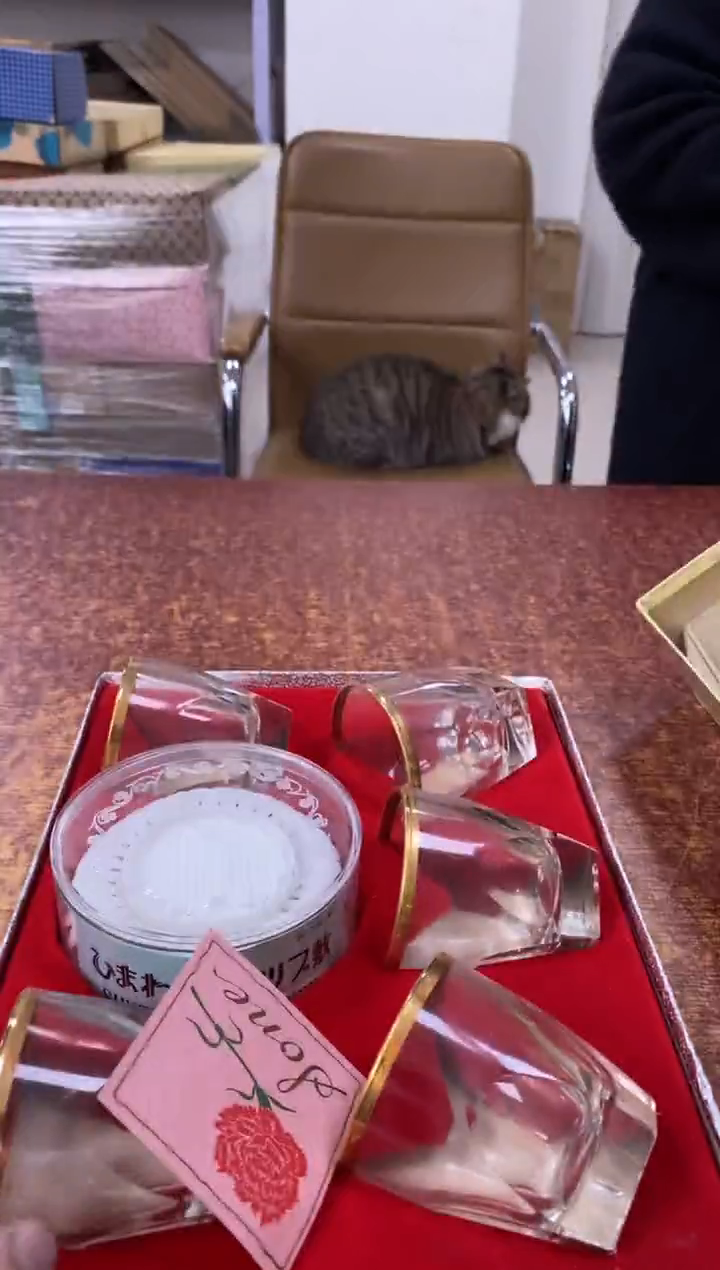 瓷片166小林轩欢迎您