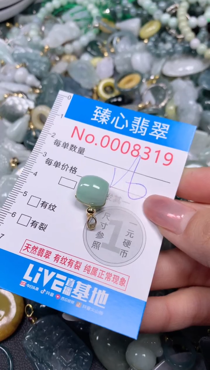 【闪购商品】翡翠颈饰未镶嵌含绳0008319