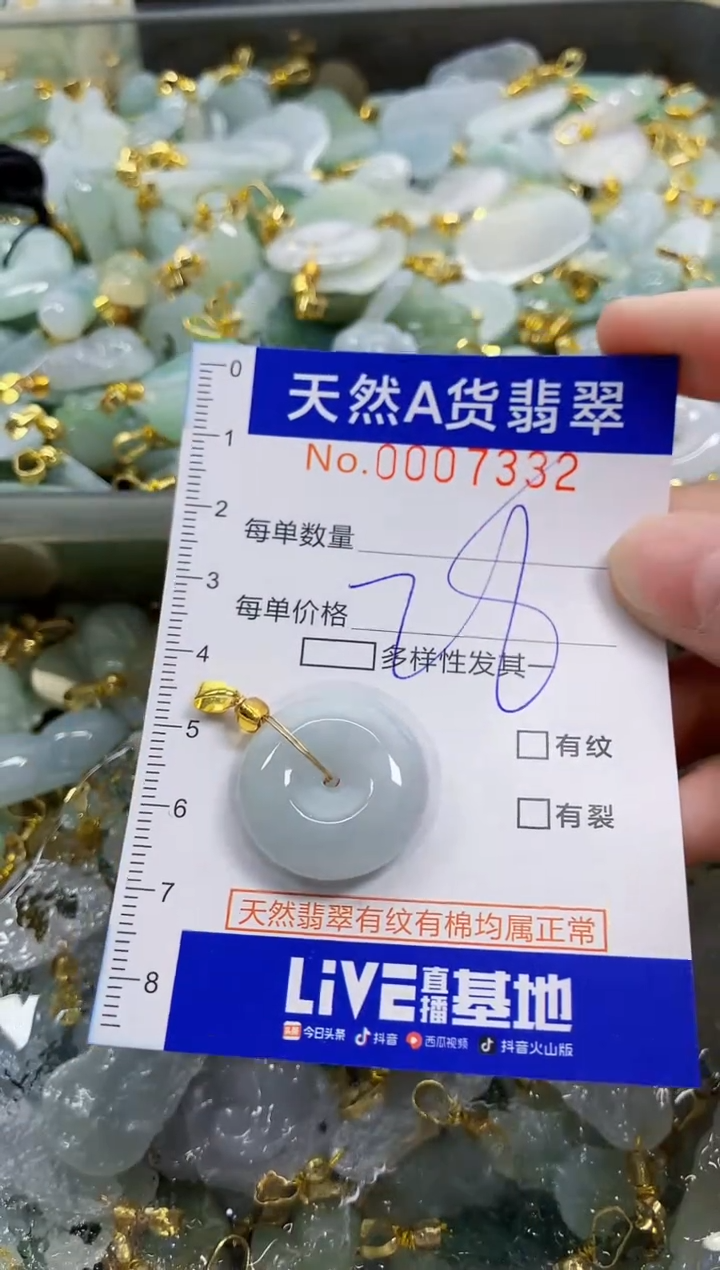 颈饰未镶嵌翡翠天然A货翡翠