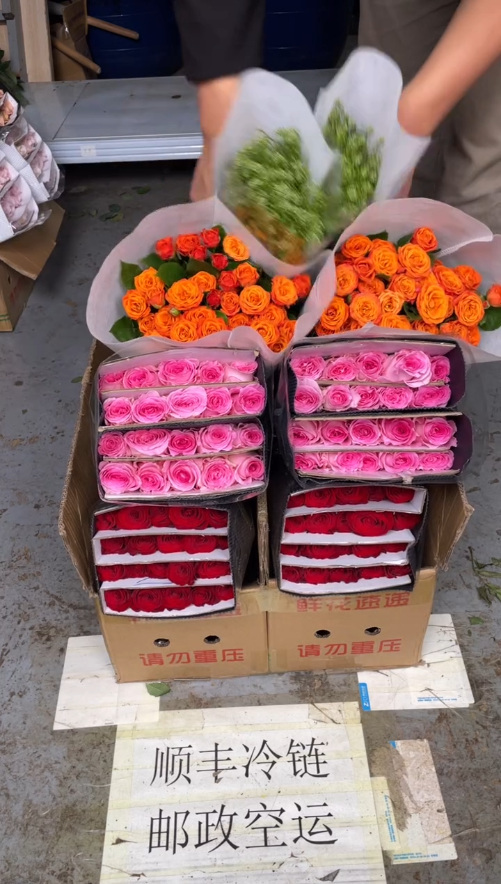 高原红20枝+洛神20枝+橙色芭比10枝+绿林草