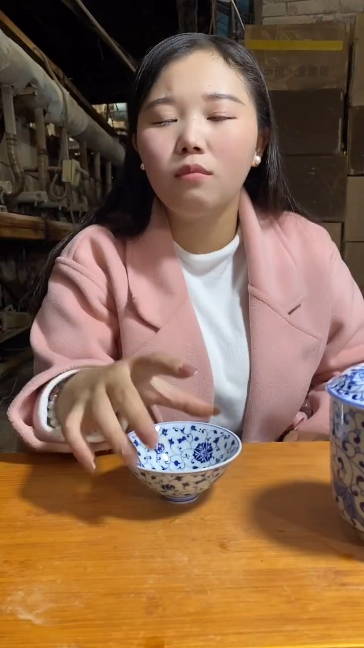 瓷片景德镇陶瓷闪购D23