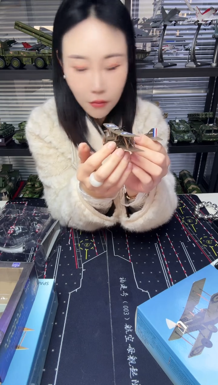 SE.5A双层机翼飞机模型 