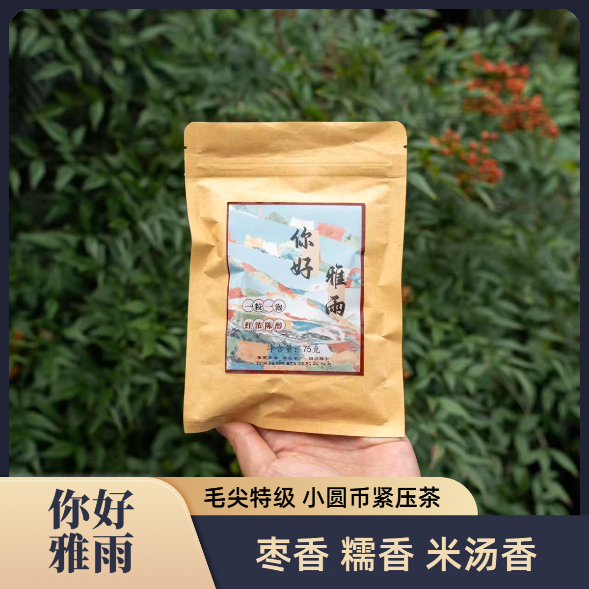 【福利】你好雅雨 5g*15粒/包 2019年 雅安藏茶 小圆币紧压枣香黑茶