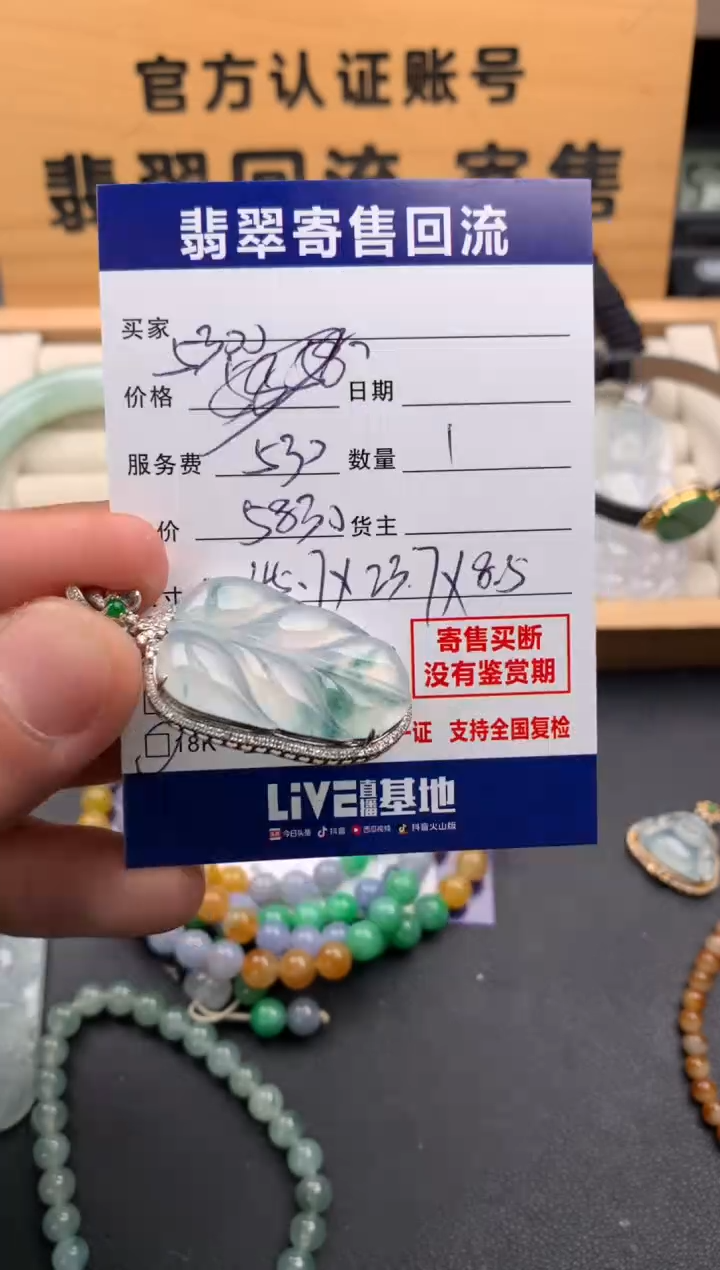 翡翠18K金镶嵌颈饰10141882