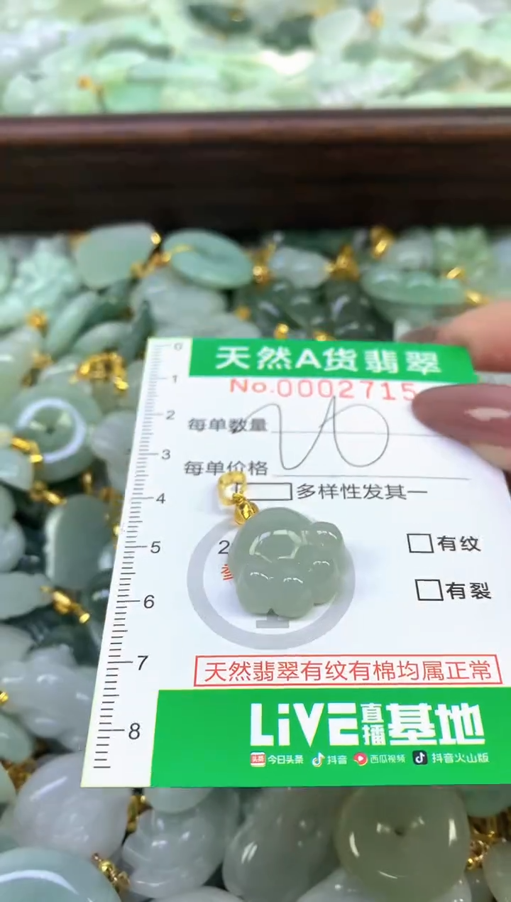 颈饰未镶嵌翡翠纯天然缅甸A货翡翠