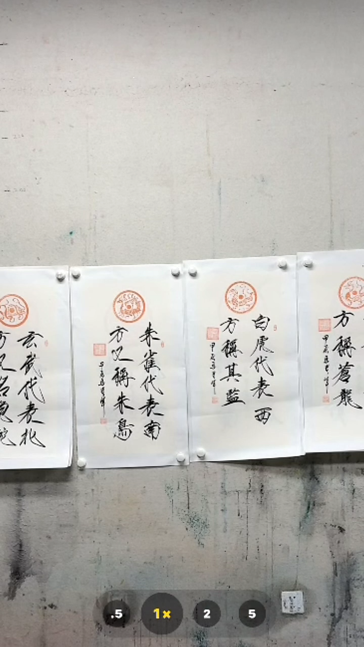 【闪购商品】书法1111111111111111