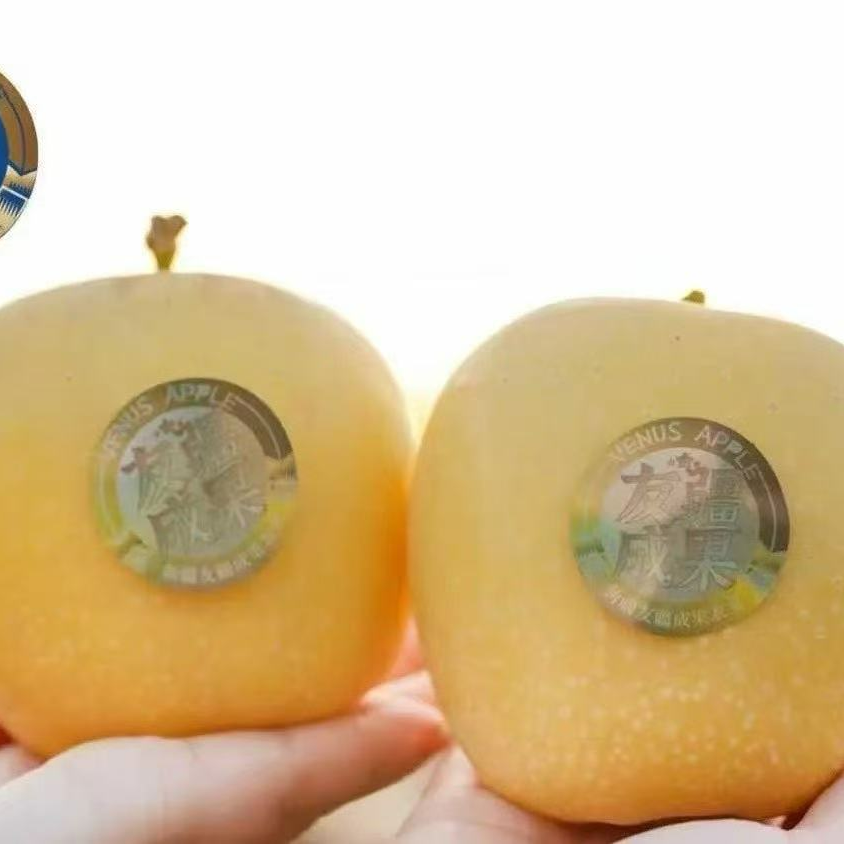 【蓝鲸小掌柜】友成疆果新疆王平安维纳斯苹果一箱8-9个3.6斤左右