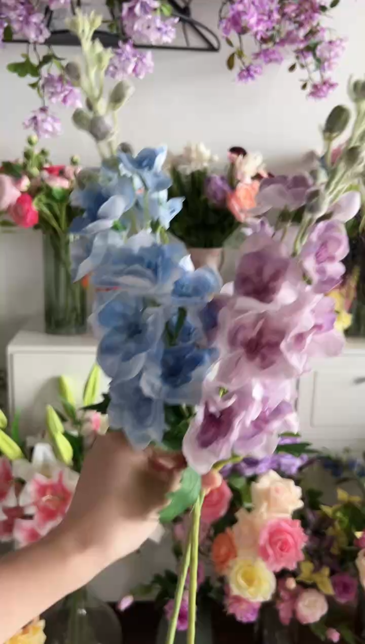 2枝混色手感保湿飞燕