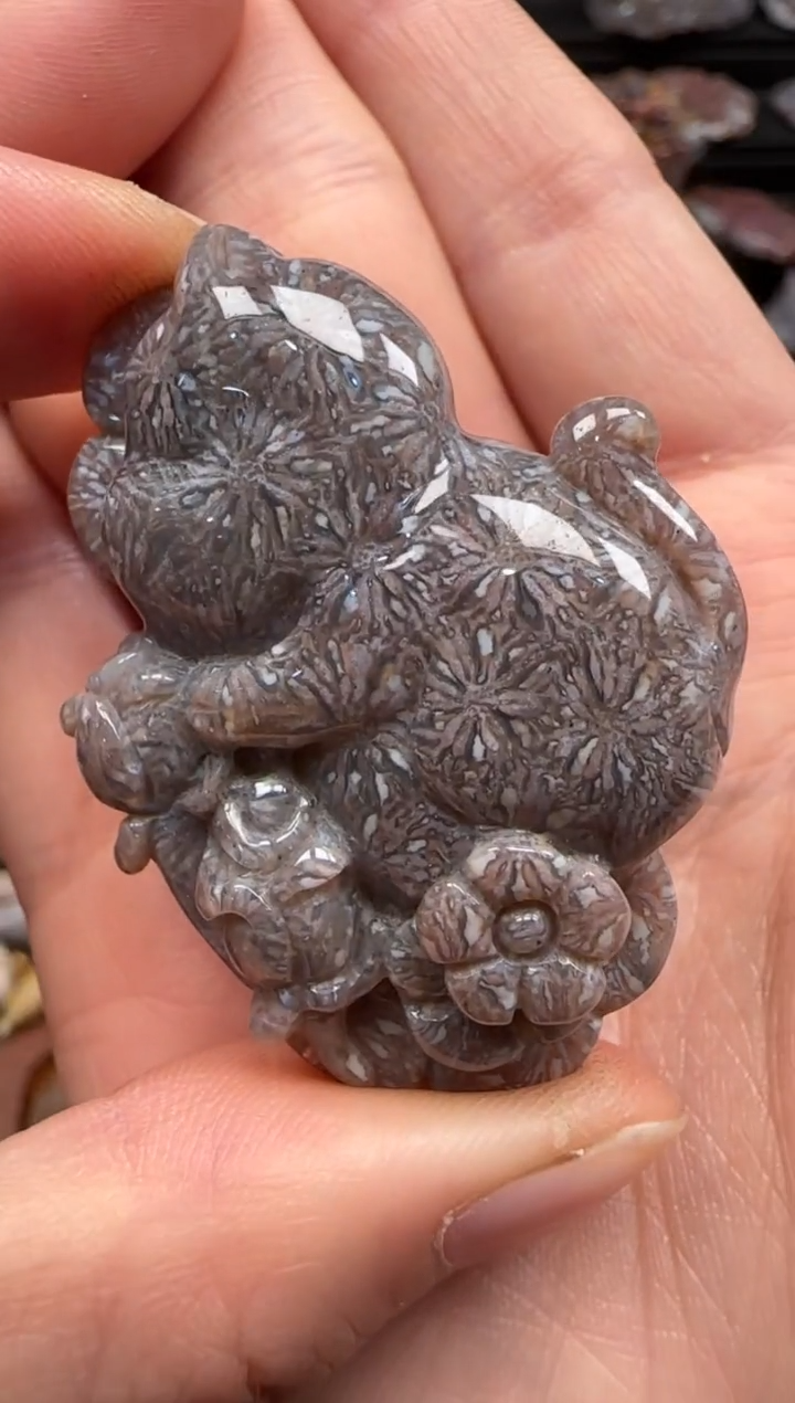 【闪购商品】硅化珊瑚（珊瑚玉）颈饰未镶嵌452