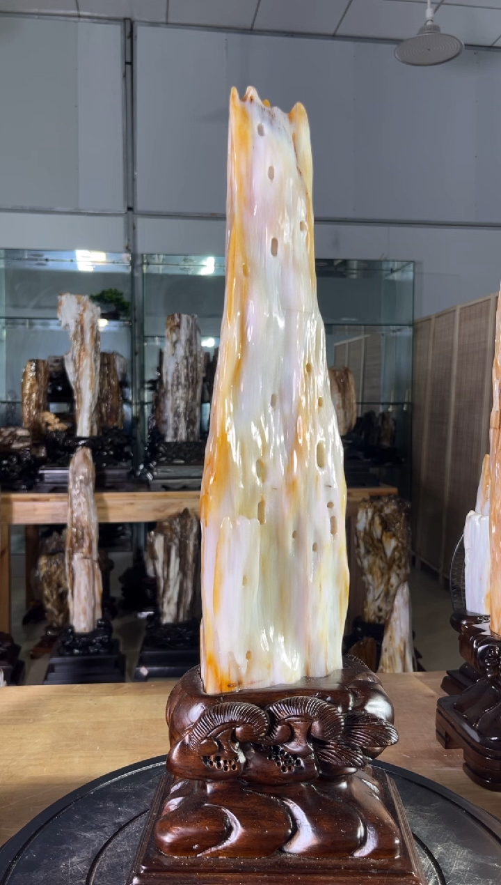 【闪购商品】硅化玉珠宝奇石未镶嵌1