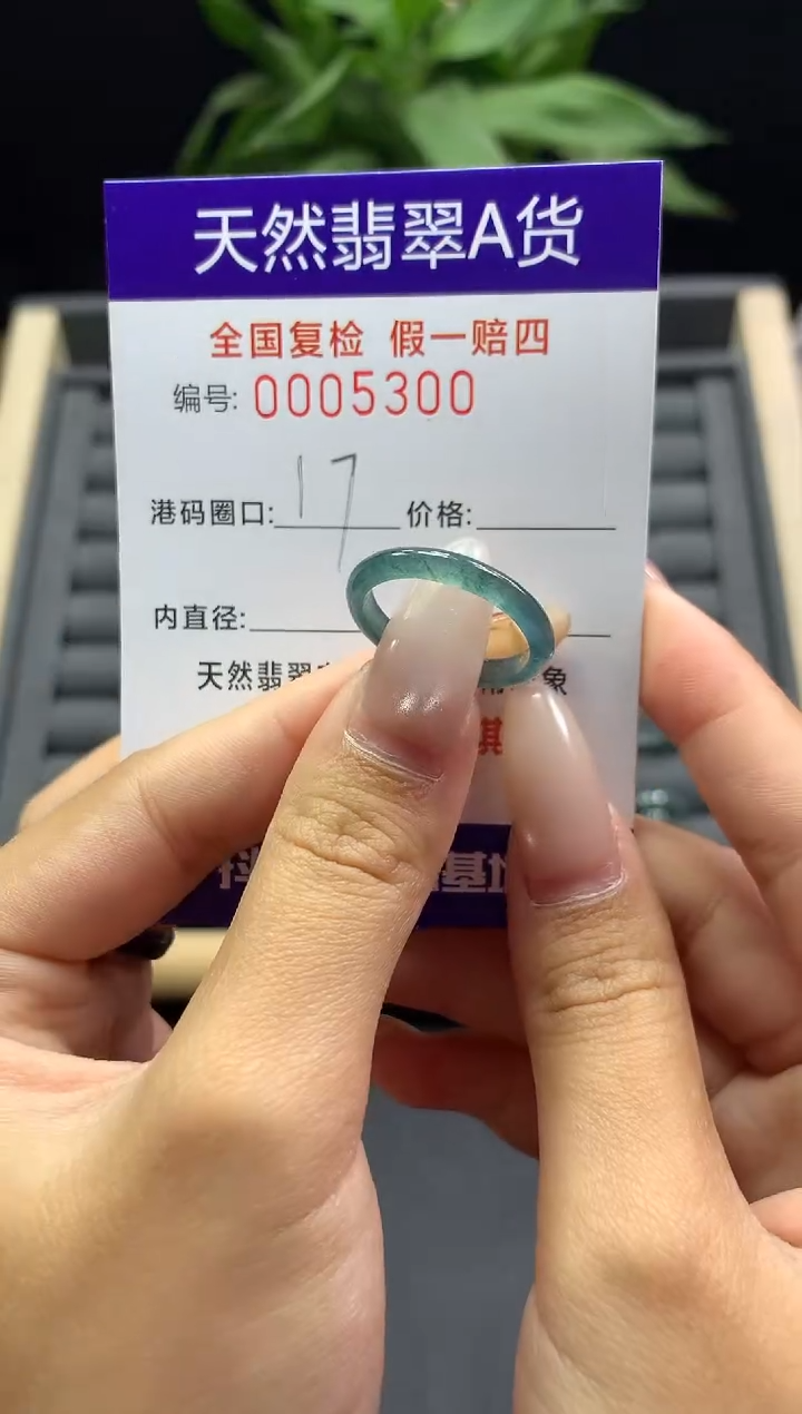 未镶嵌戒指翡翠天然  5300