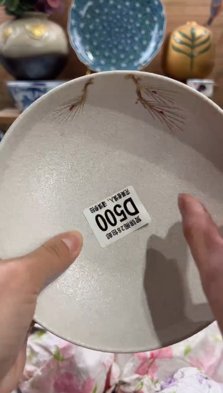 瓷片ડ****:      D500