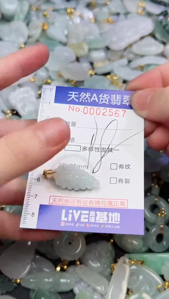 翡翠未镶嵌颈饰爆款时尚百搭闺蜜款天然翡翠A货