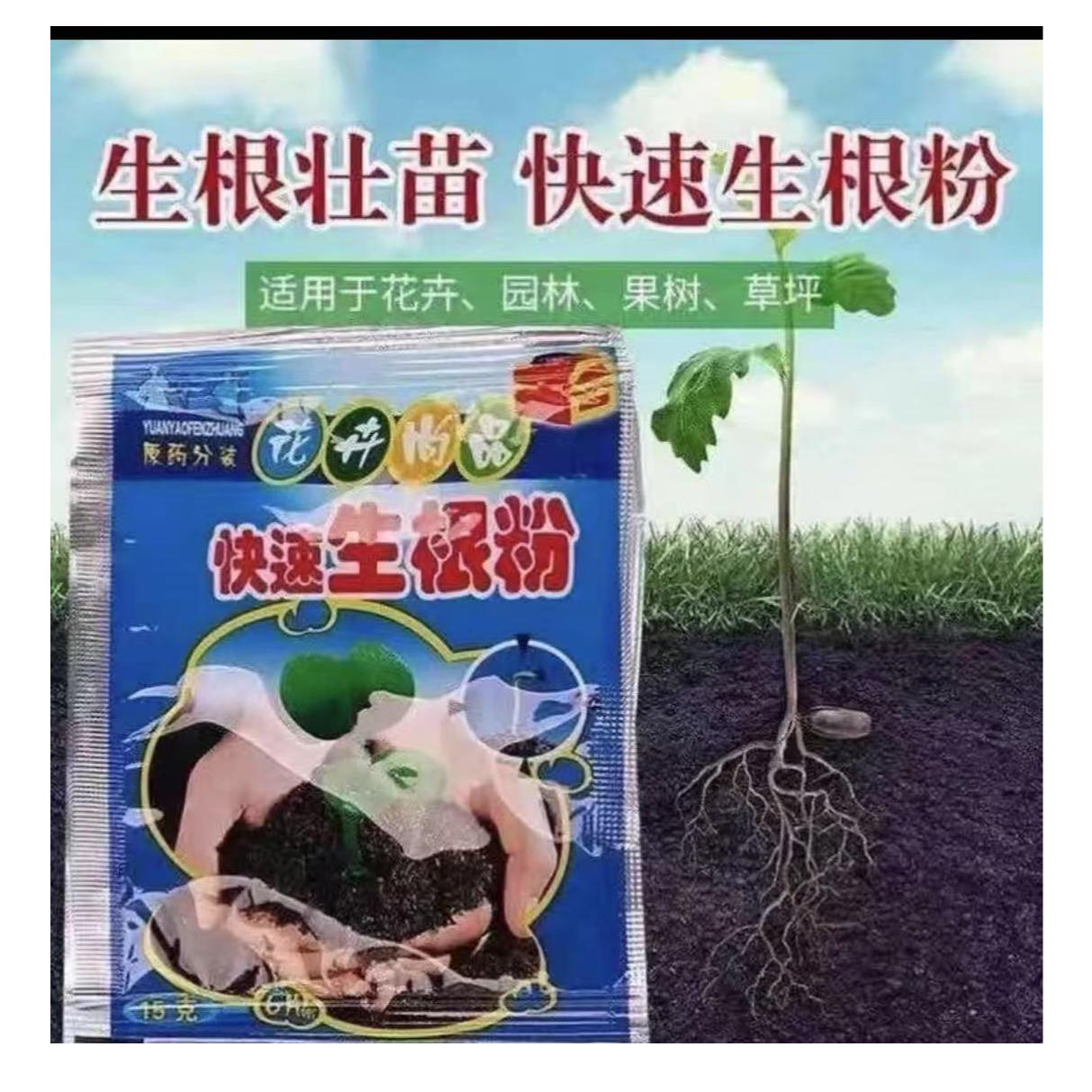 快速生根粉花卉通用扦插用快速速效强力生根粉多菌灵杀菌通用