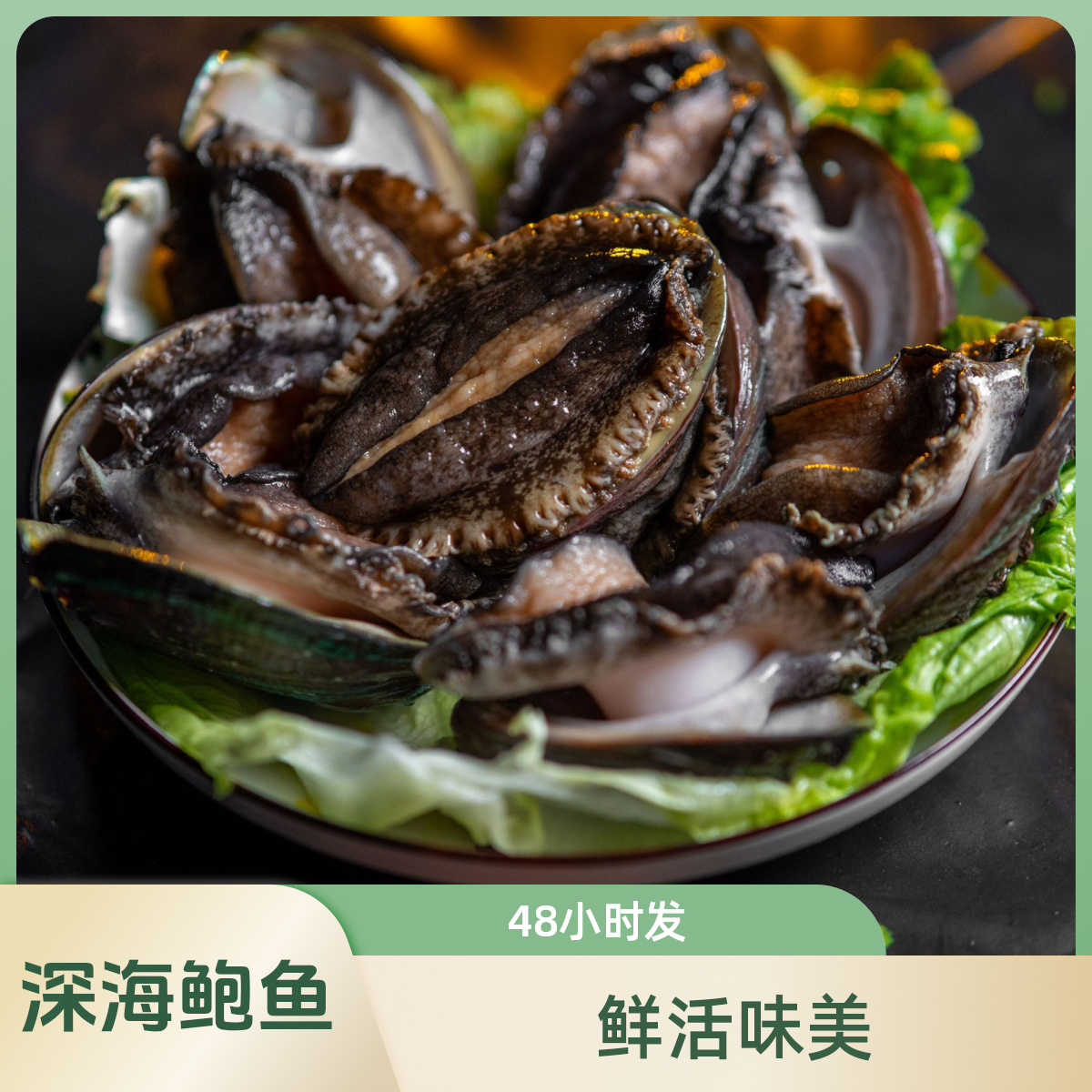 鲜活深海鲍鱼煲汤神器捞汁首选包活到家