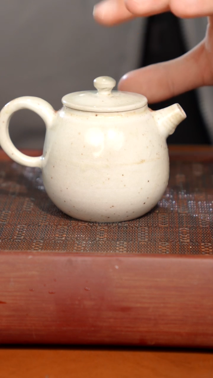 陶瓷奢瓷/瑞寅柴烧茶器（壶）1115