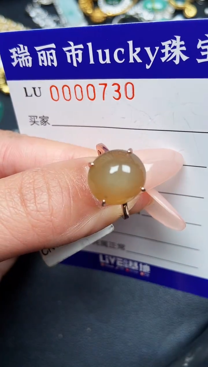 【闪购商品】翡翠颈饰银S925镶嵌0730