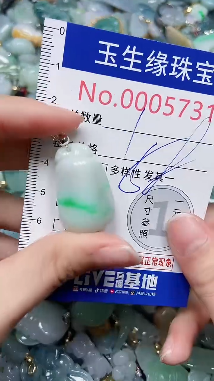 【闪购商品】翡翠颈饰未镶嵌闪购00005731