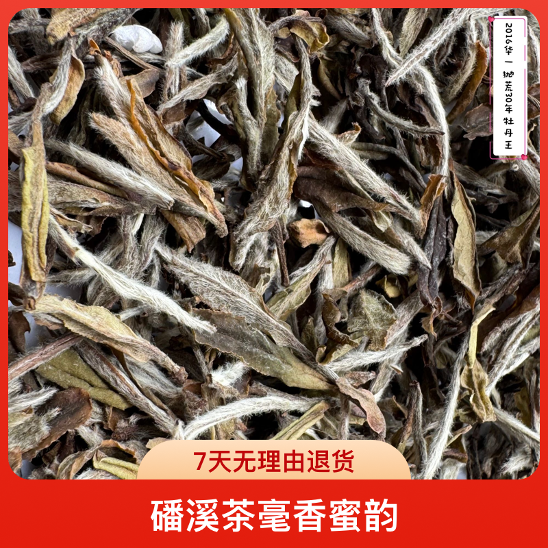 2016年荒野牡丹王华茶一号抛荒30年福鼎白茶磻溪茶毫香蜜韵散茶