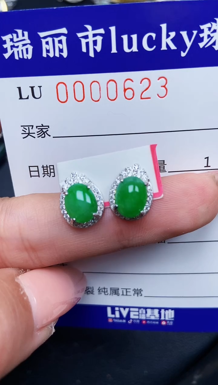 【闪购商品】翡翠颈饰银S925镶嵌0623