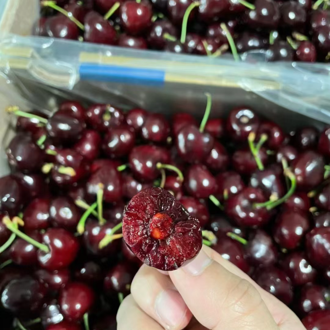 【鲜果】车厘子JD一箱5斤