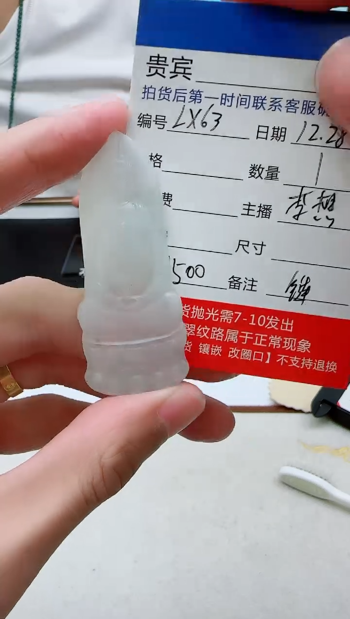 未镶嵌定制翡翠LX63翡翠吊坠赠珠链-多样性发其一