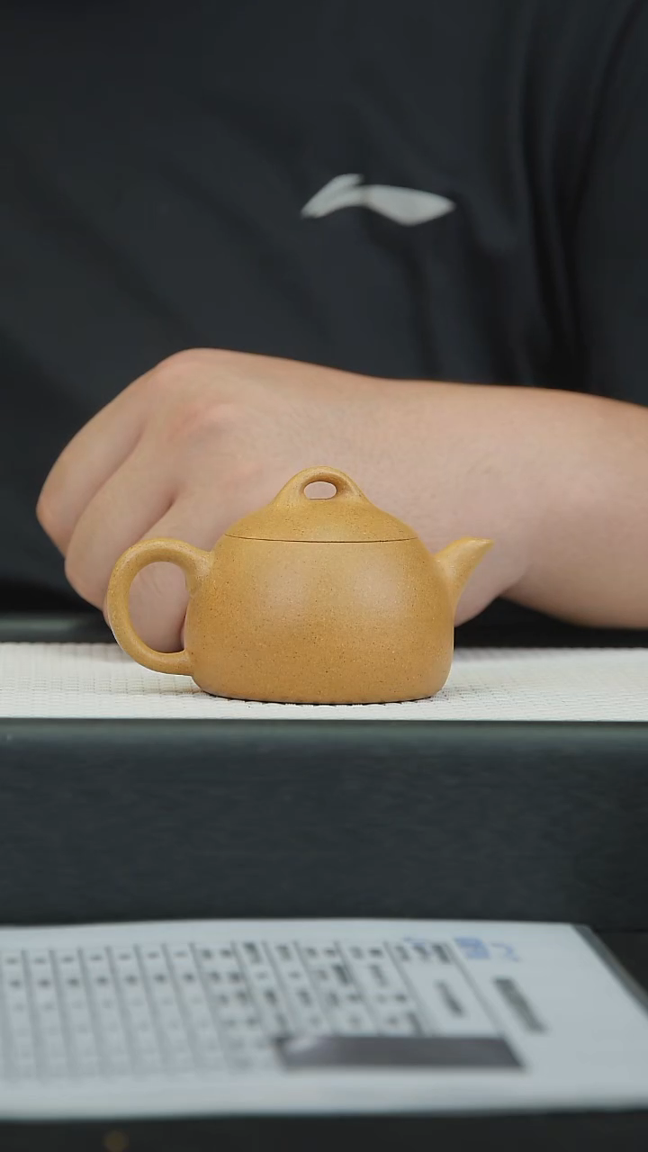 茶壶紫砂宜兴紫砂原矿紫砂