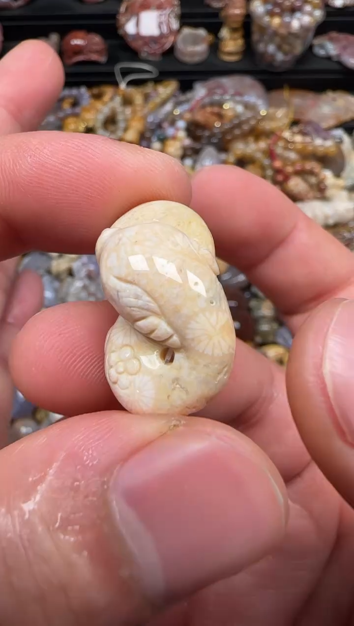 【闪购商品】硅化珊瑚（珊瑚玉）未镶嵌颈饰325