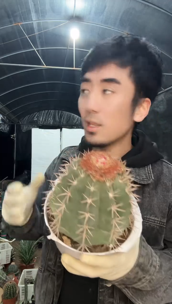【闪购商品】锦云1111