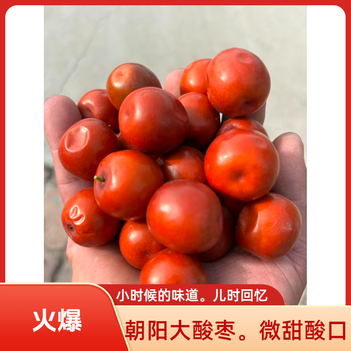 辽宁朝阳大酸枣果肉饱满大山枣软糯微甜酸口大孕妇解馋快递包邮