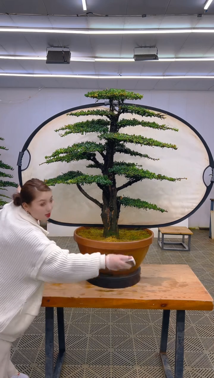 无花朵一物一拍一物一拍