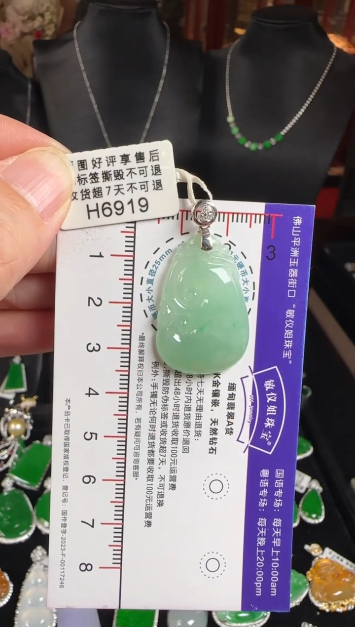 颈饰未镶嵌翡翠H6919如意