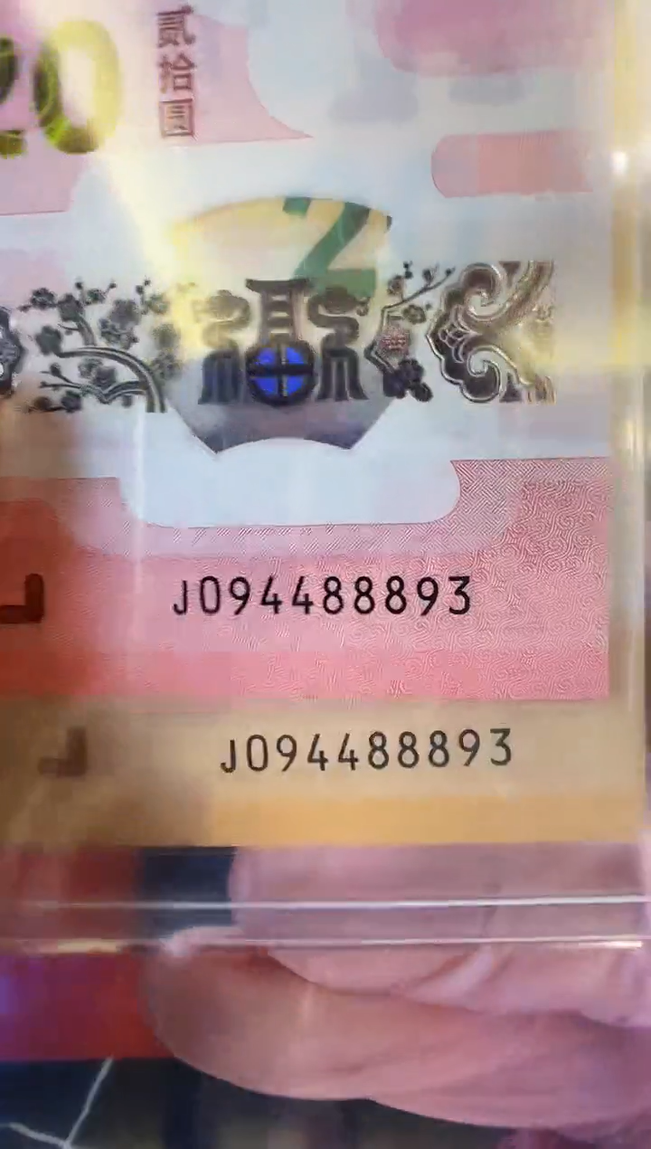 【闪购商品】塑料2025龙蛇钞全同号094488893裸