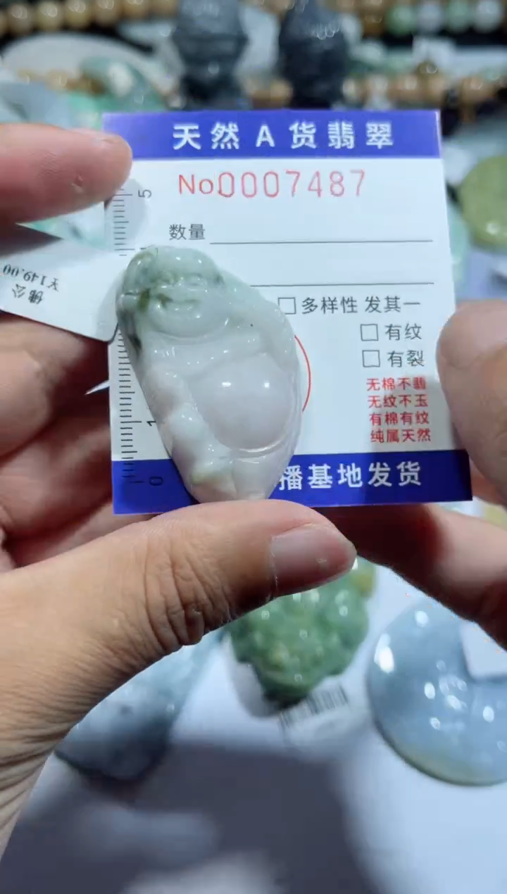 【闪购商品】翡翠颈饰未镶嵌00007487