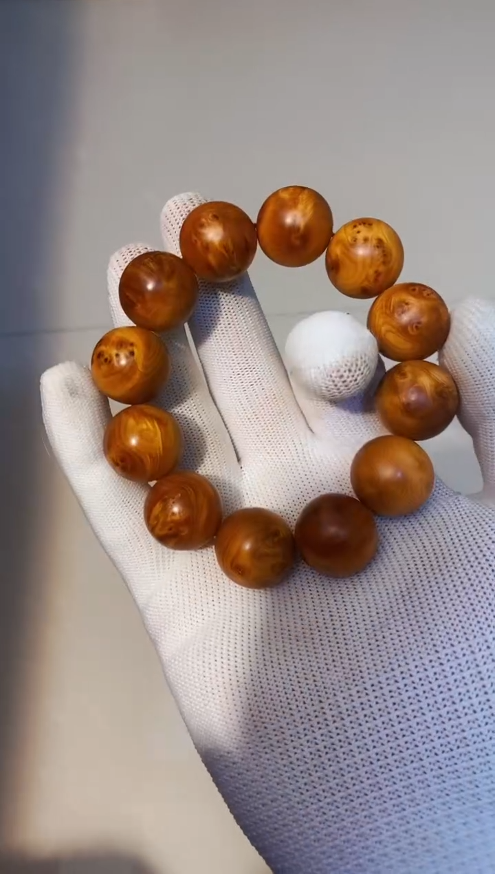 【闪购商品】柏木65崖柏崖柏崖柏崖柏崖柏