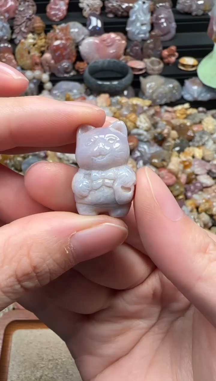 颈饰未镶嵌硅化珊瑚（珊瑚玉）318