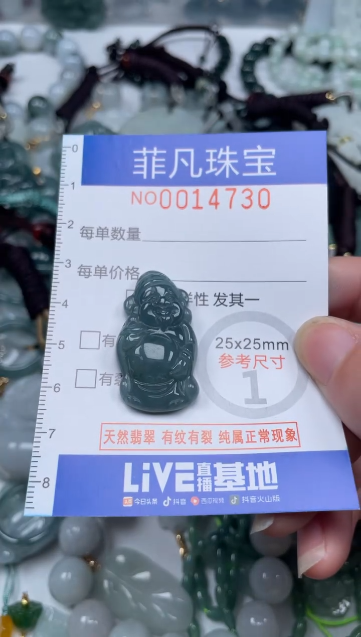 颈饰未镶嵌翡翠14730