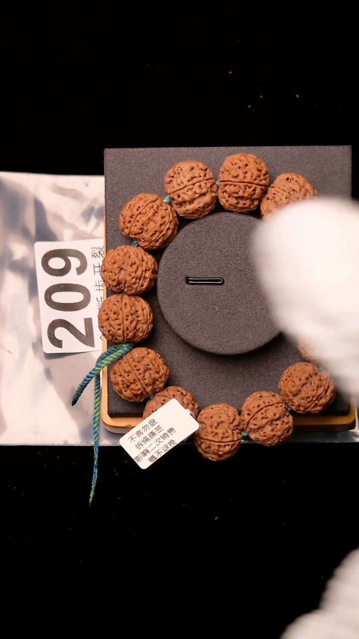 【闪购商品】金刚菩提手串九纹龙20