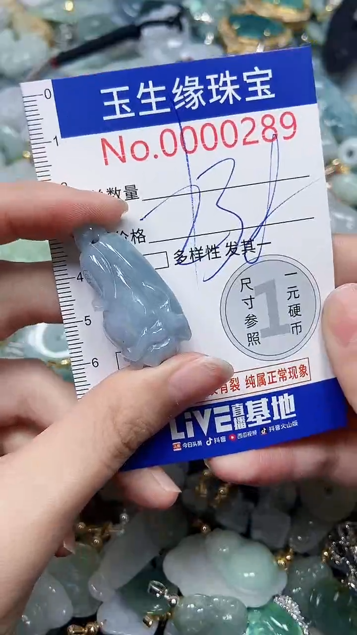 【闪购商品】翡翠颈饰未镶嵌闪购00000289