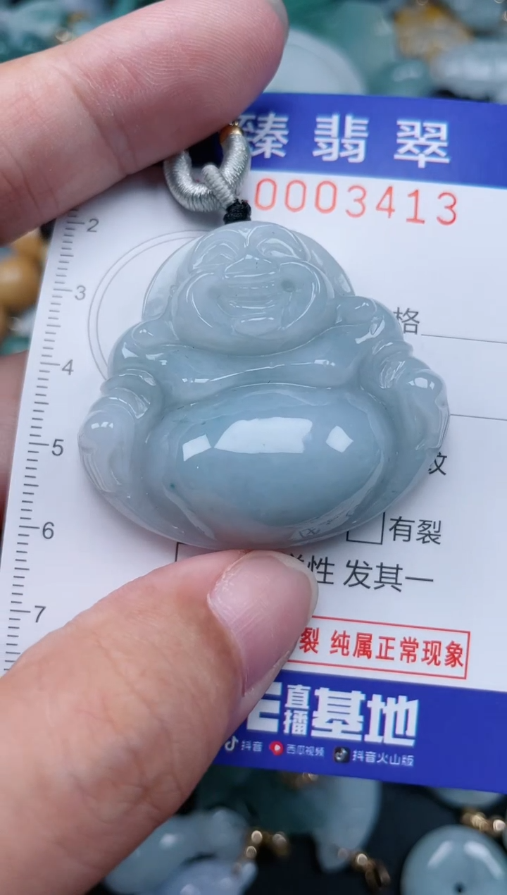 翡翠未镶嵌颈饰.0003413