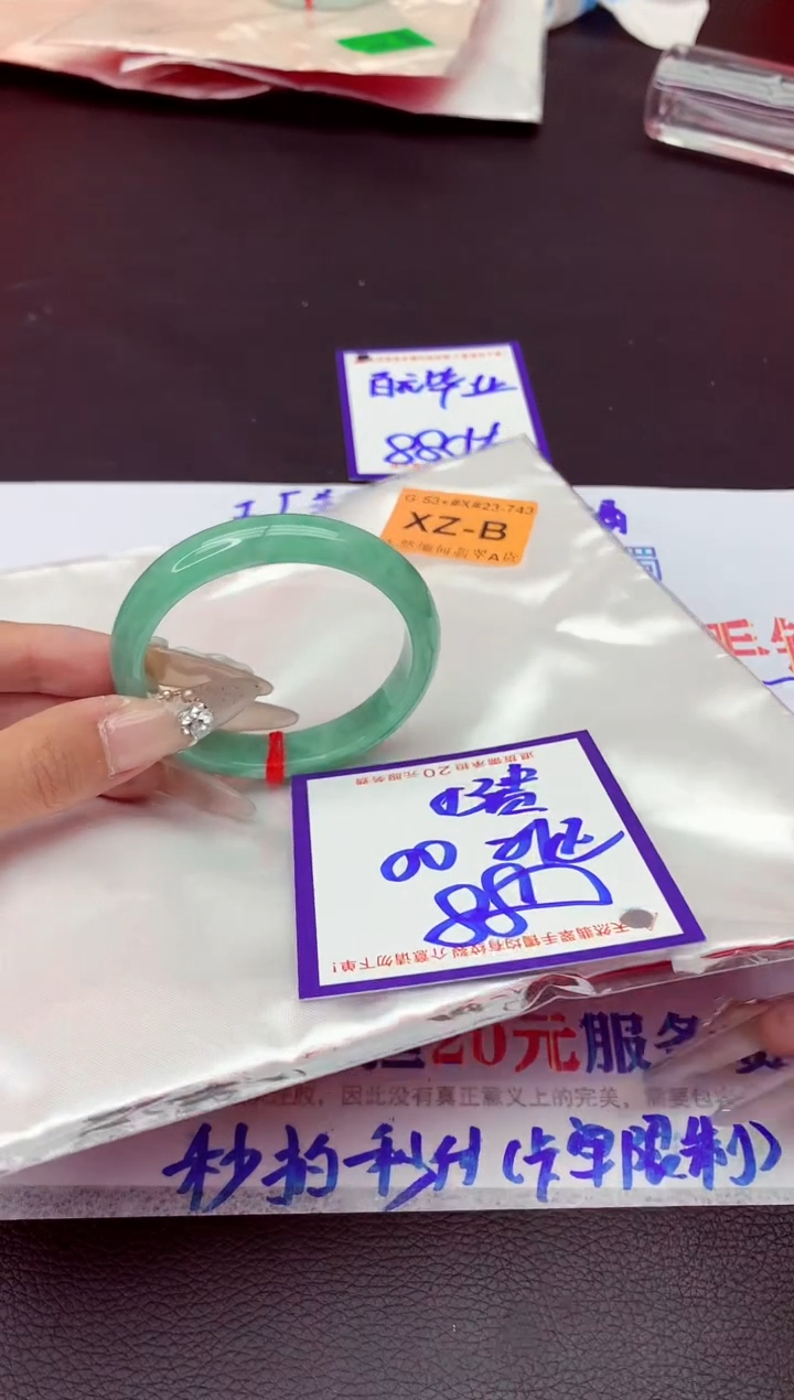未镶嵌手镯翡翠11111111