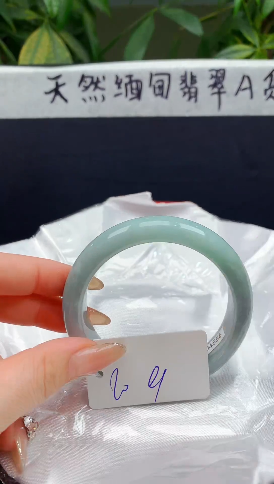 未镶嵌手镯翡翠104