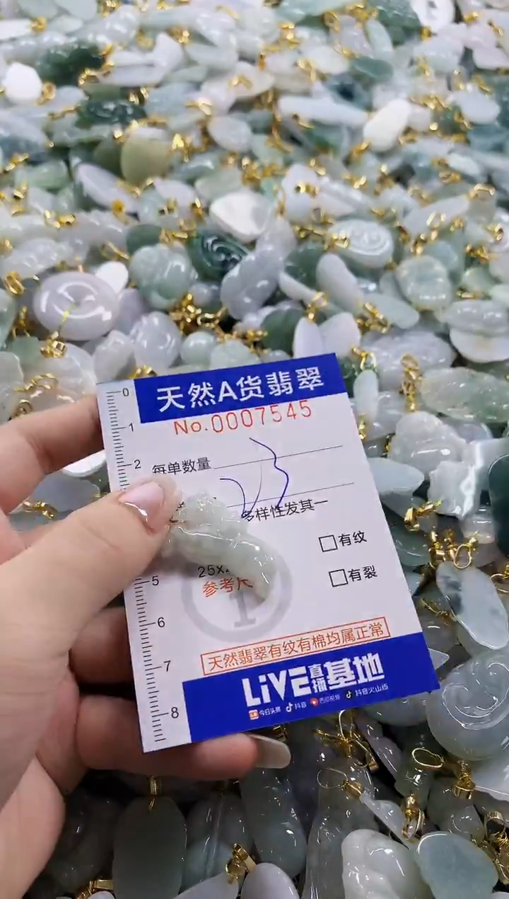 颈饰未镶嵌翡翠天然A货翡翠