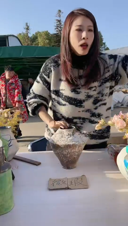 【闪购商品】陶瓷景德镇手工陶瓷微瑕介意勿拍