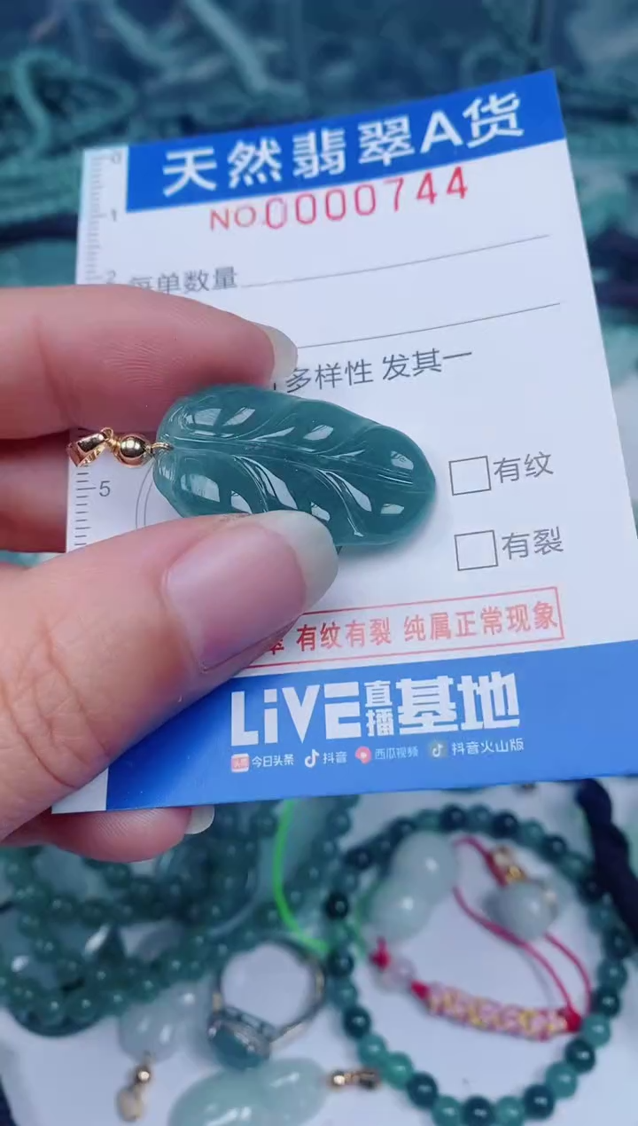 颈饰未镶嵌翡翠00000744