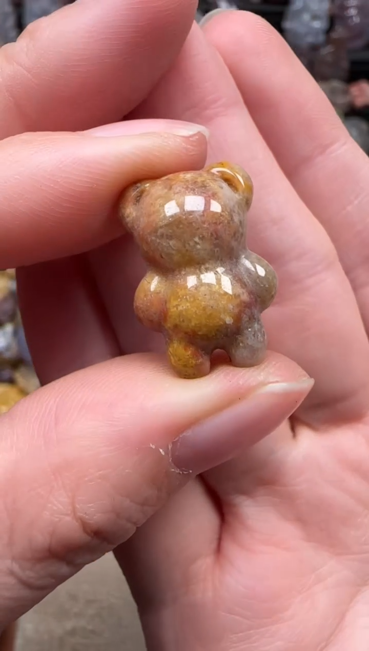 颈饰未镶嵌硅化珊瑚（珊瑚玉）510